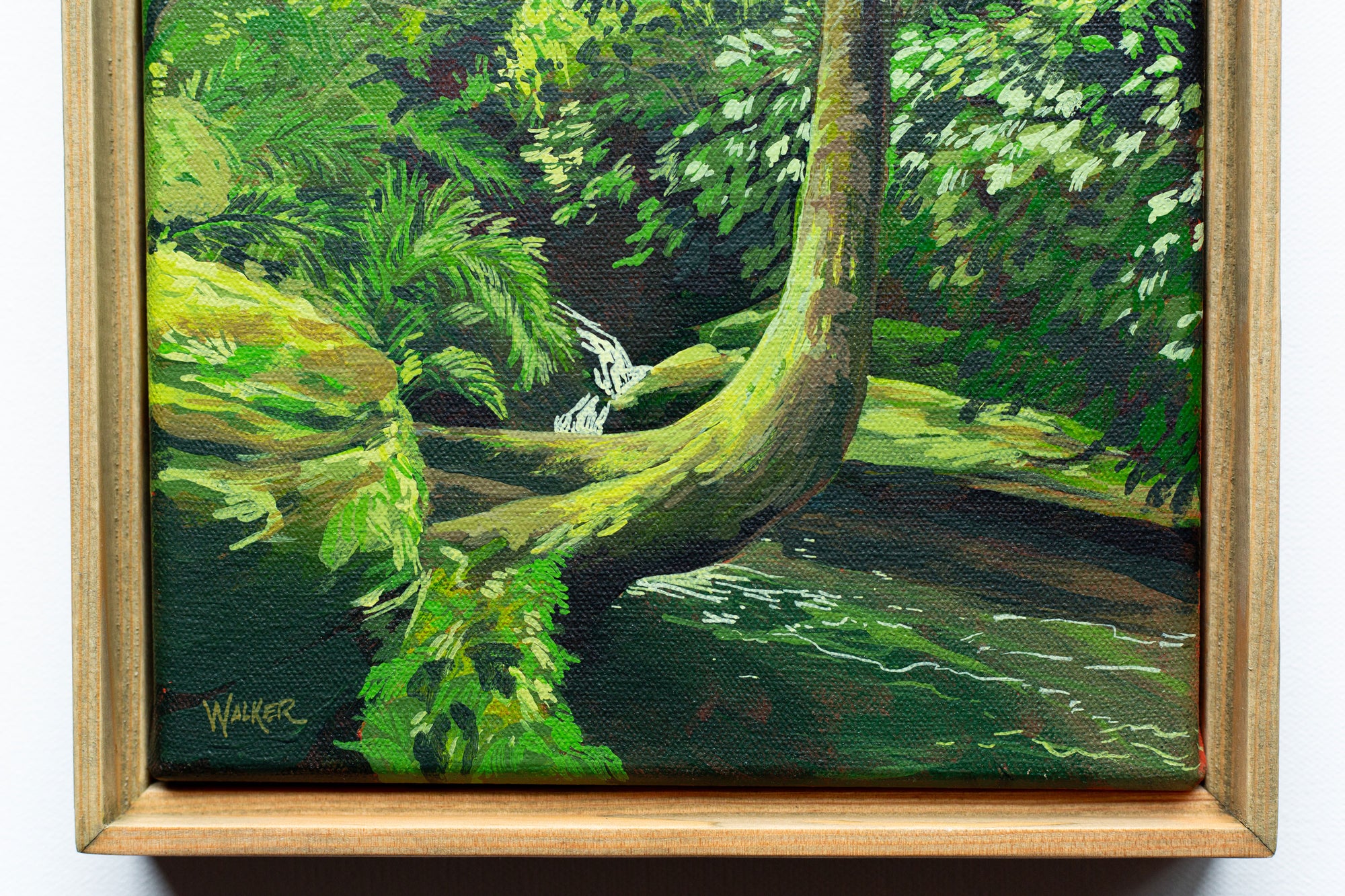 "FOUND THE LIGHT" STUDY