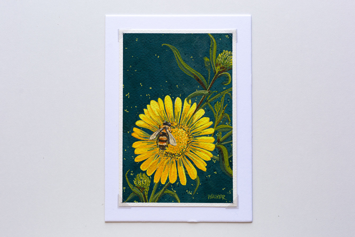 "HONEYBEE and DAISY" STUDY