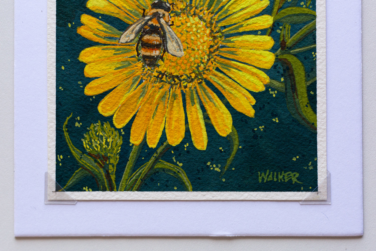 "HONEYBEE and DAISY" STUDY