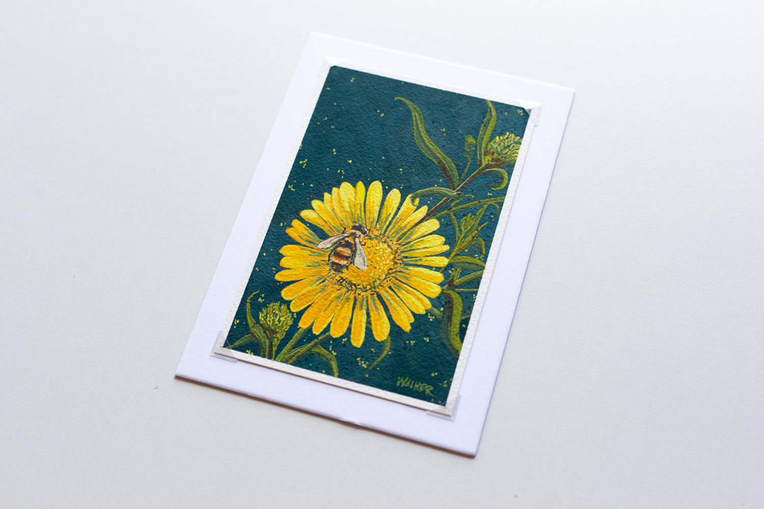 "HONEYBEE and DAISY" STUDY