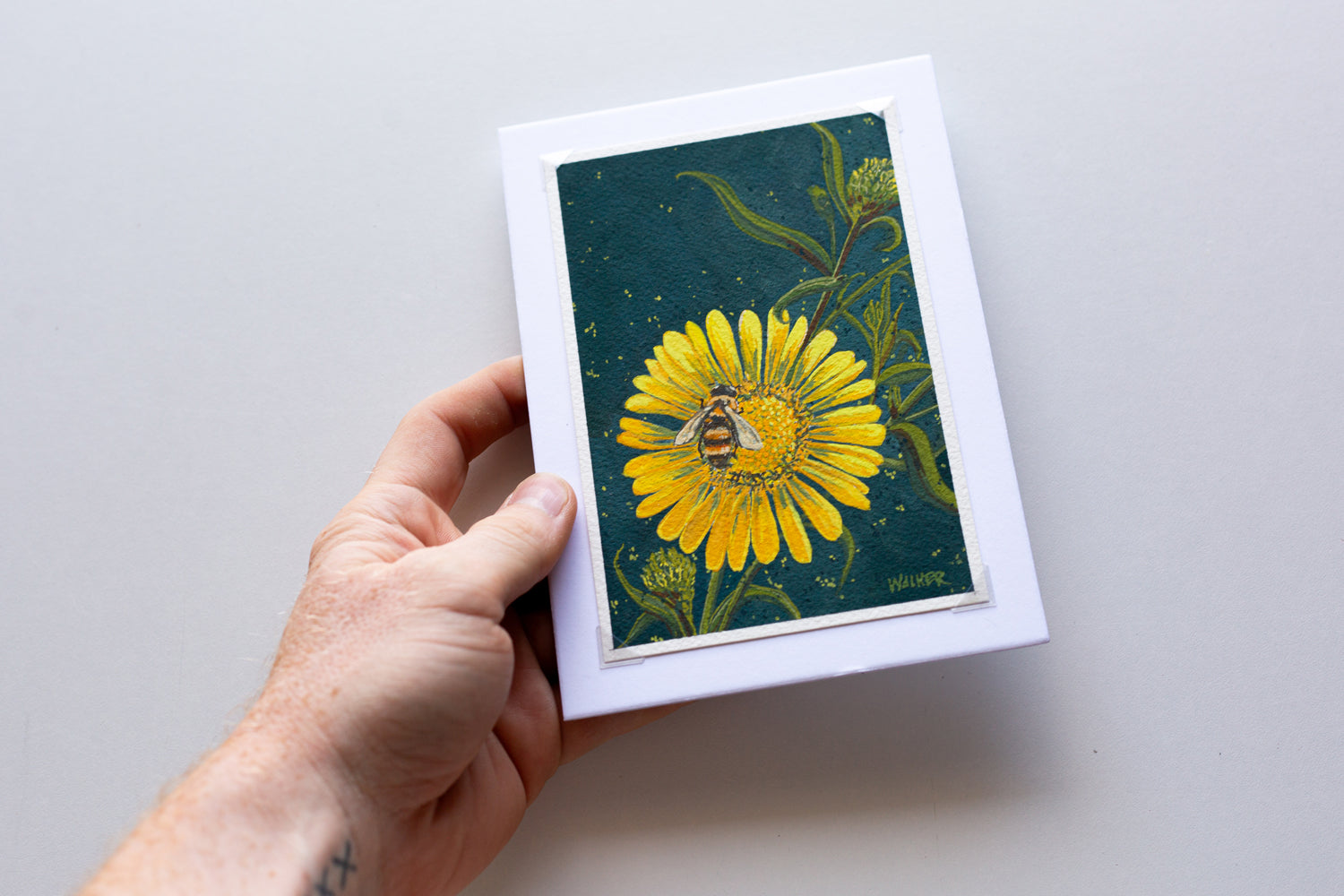 "HONEYBEE and DAISY" STUDY