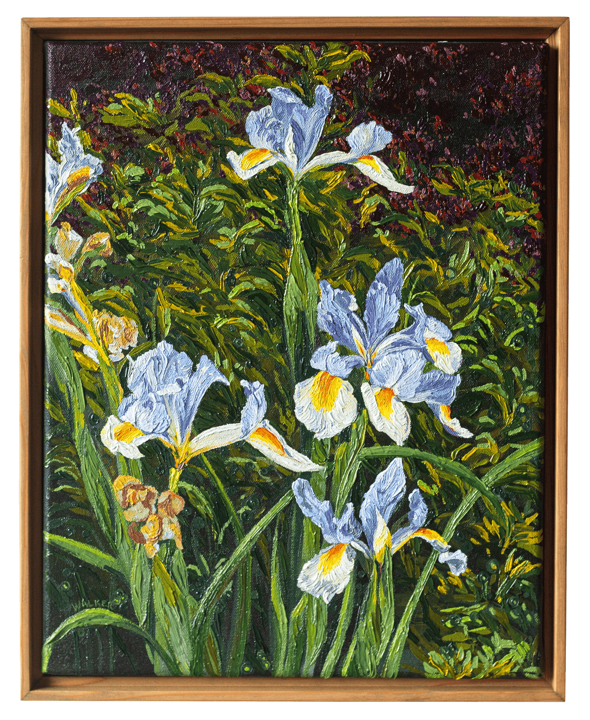 "Iris in the Plaza"