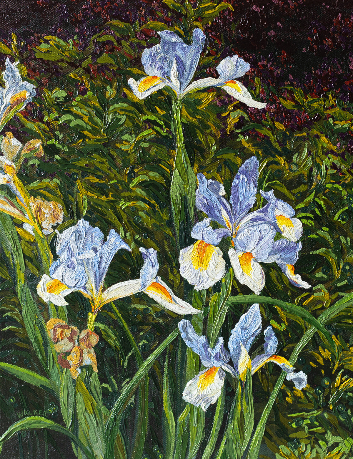 "Iris in the Plaza"