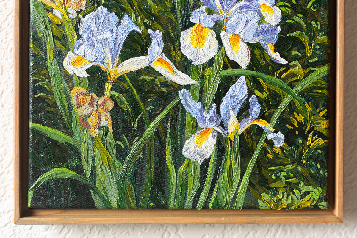 "Iris in the Plaza"