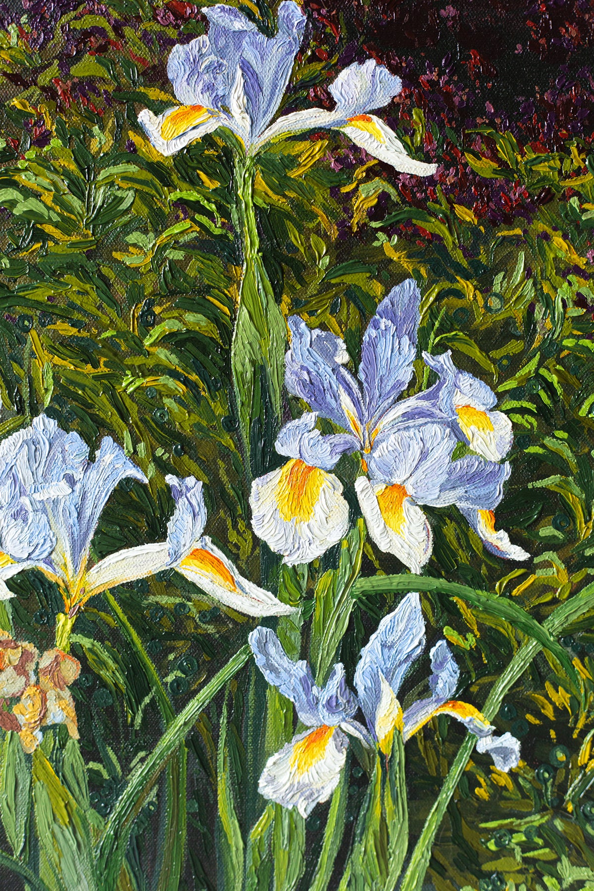 "Iris in the Plaza"