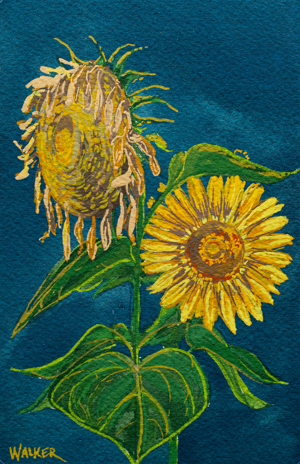 "LIFE and DEATH" STUDY