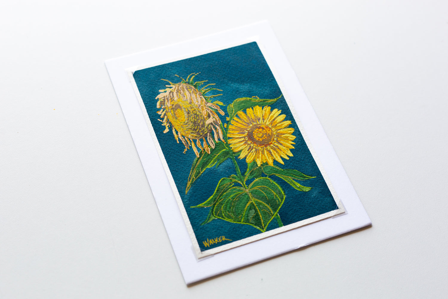 "LIFE and DEATH" STUDY