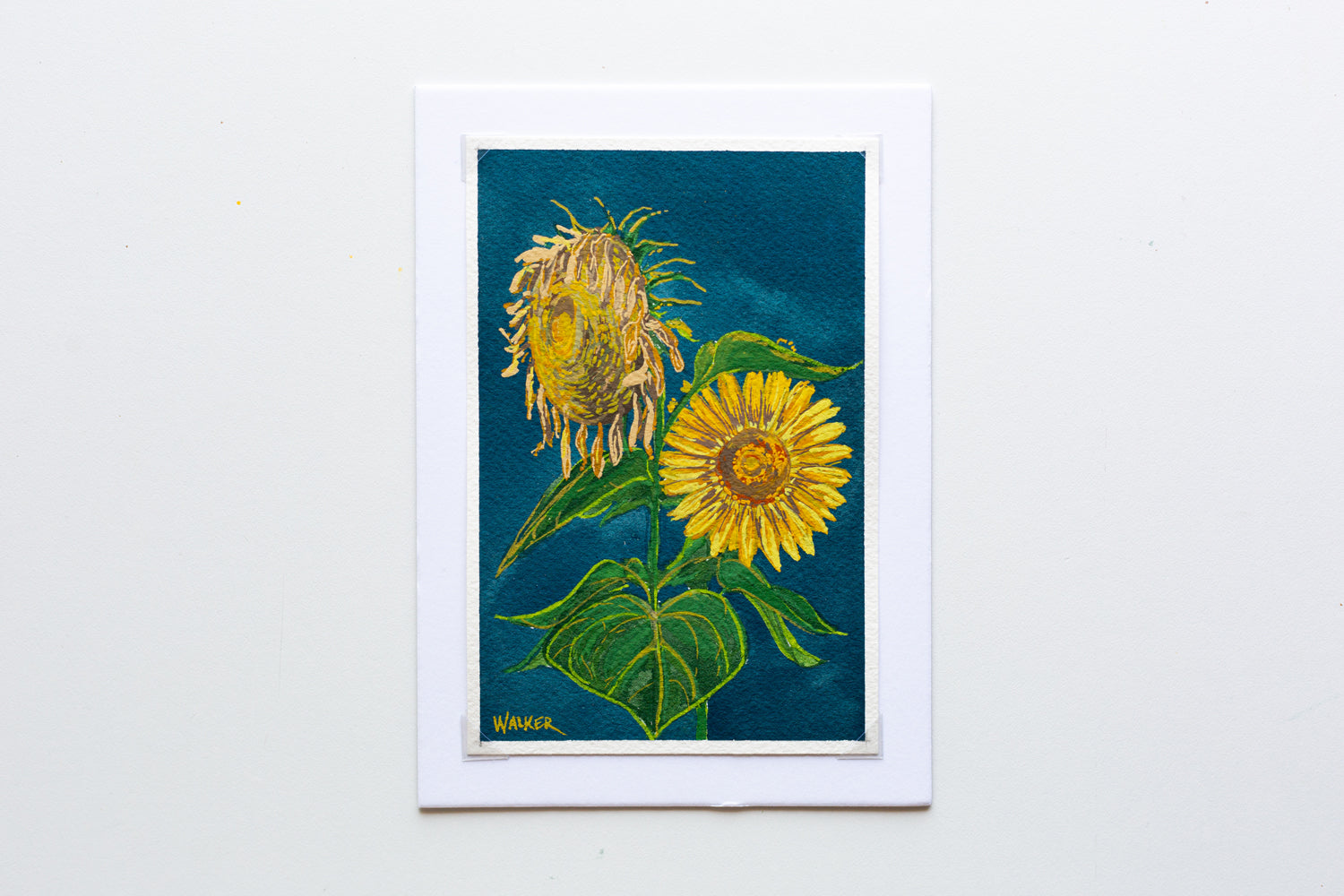 "LIFE and DEATH" STUDY