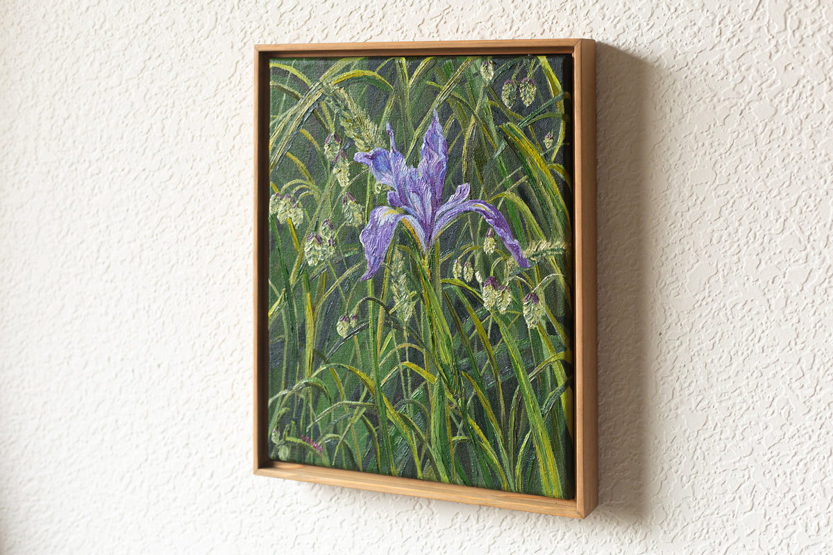 "Lone Douglas Iris"