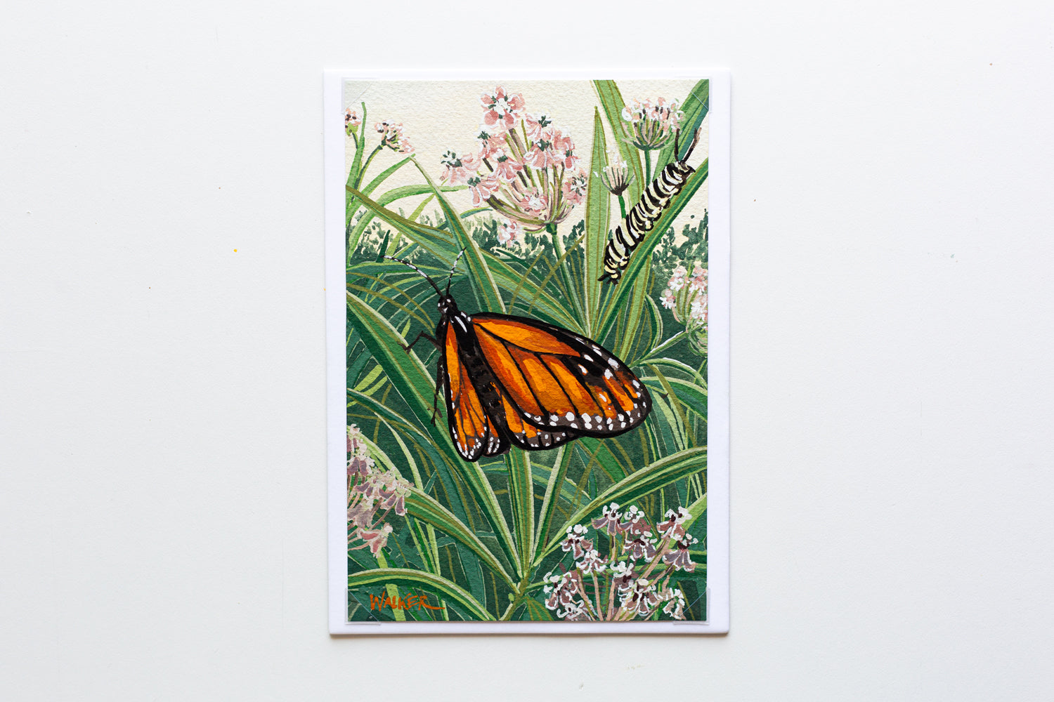 "MONARCH TRANSFORMATION" STUDY