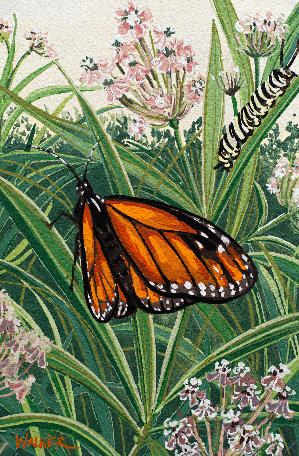 "MONARCH TRANSFORMATION" STUDY