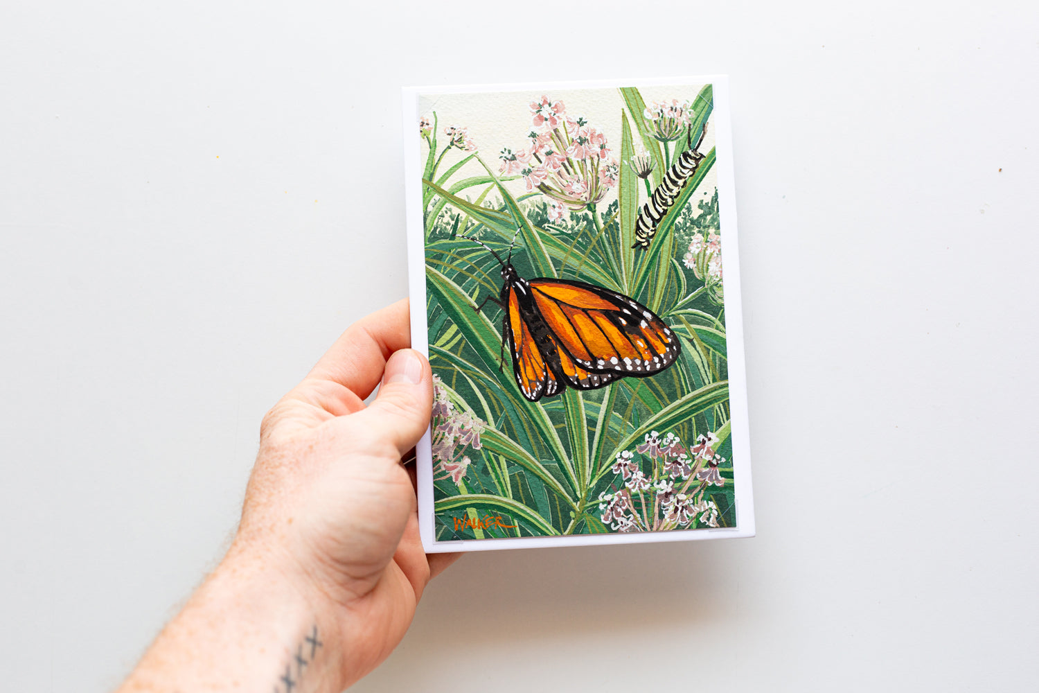 "MONARCH TRANSFORMATION" STUDY