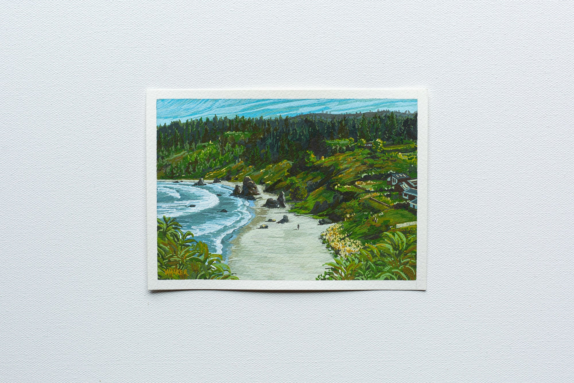 "MORNING WALK" STUDY