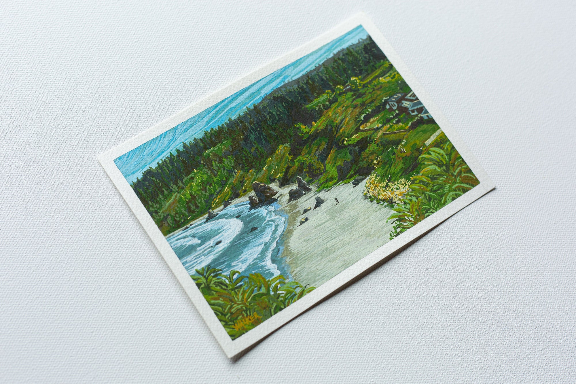 "MORNING WALK" STUDY