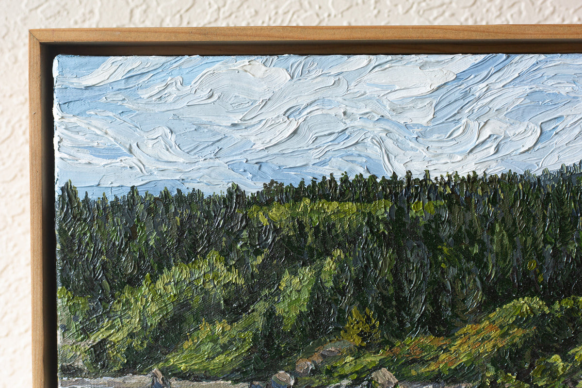 "Morning Walk from the Trinidad Head"