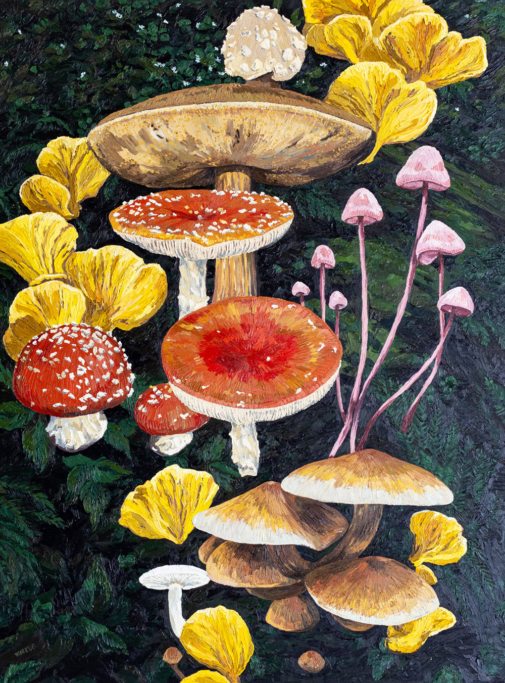 "MUSHROOM OASIS"