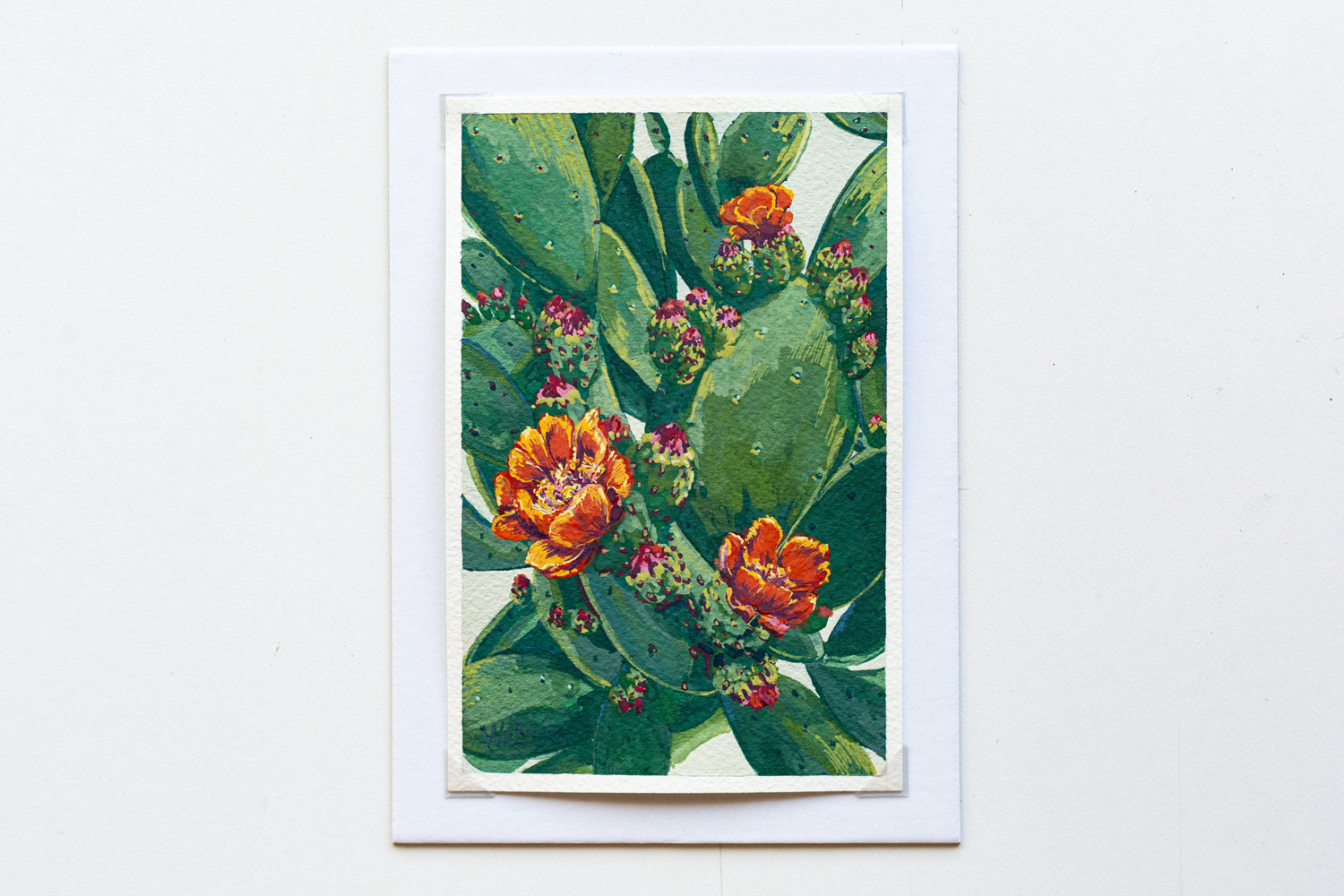 "ORANGE BLOOMS" STUDY