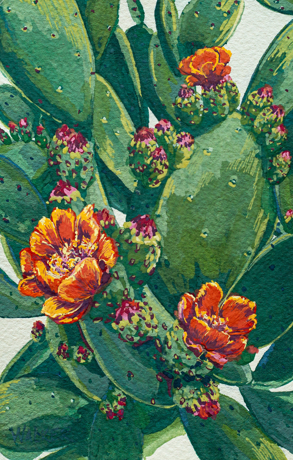 "ORANGE BLOOMS" STUDY