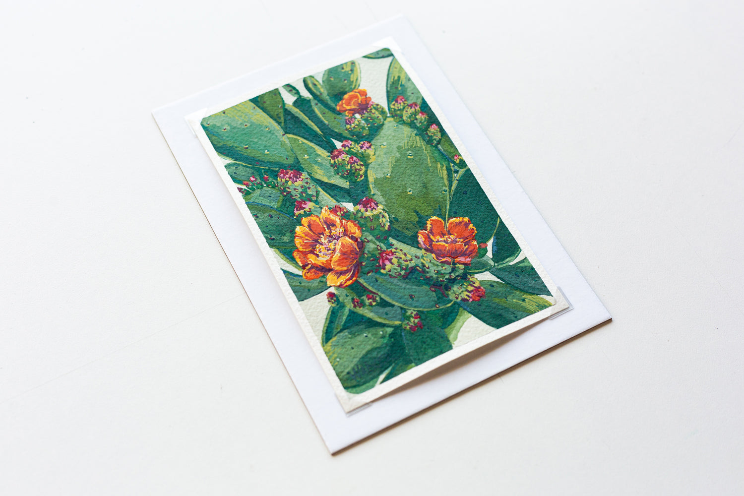 "ORANGE BLOOMS" STUDY