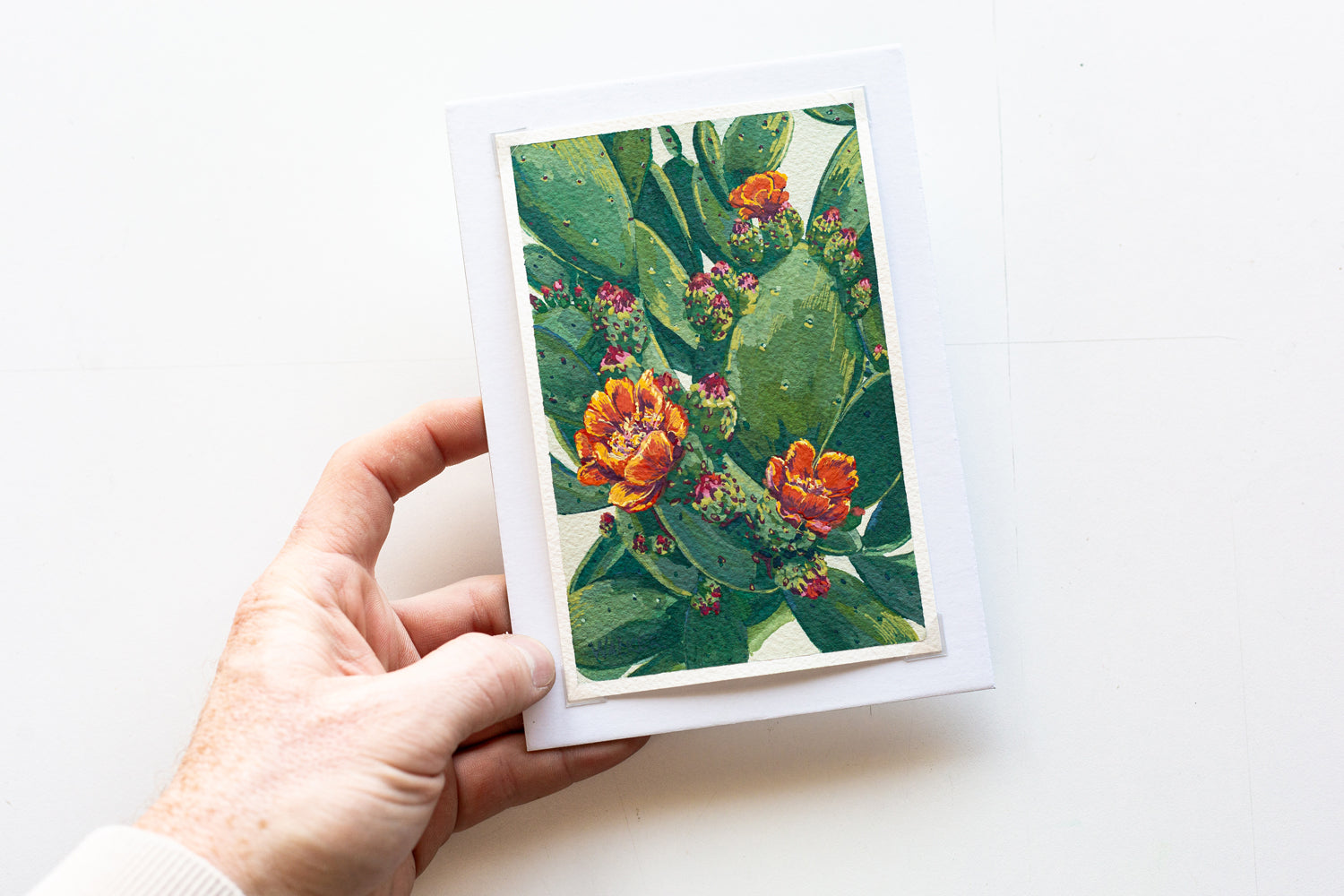 "ORANGE BLOOMS" STUDY