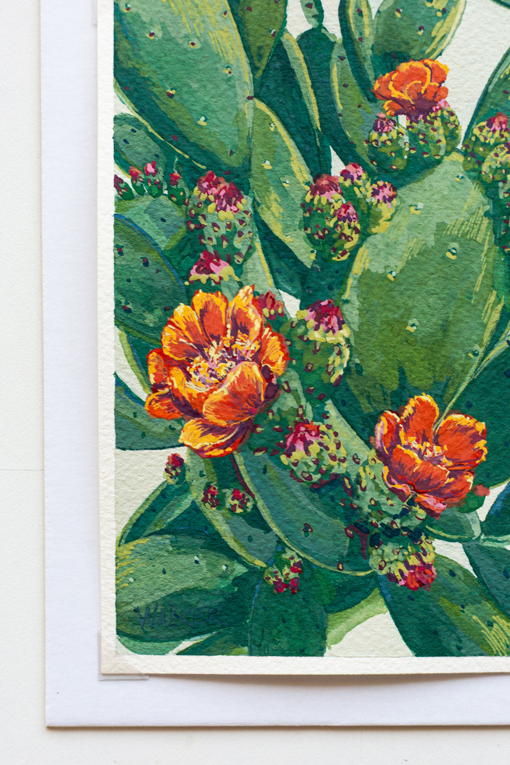 "ORANGE BLOOMS" STUDY