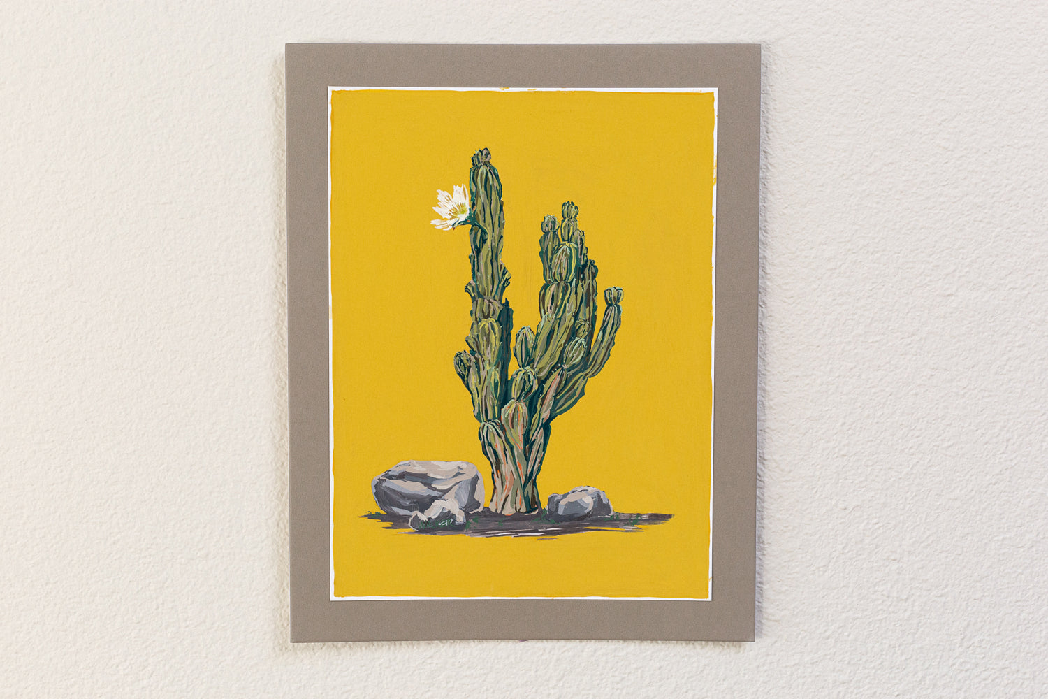 "PERUVIAN APPLE CACTUS"