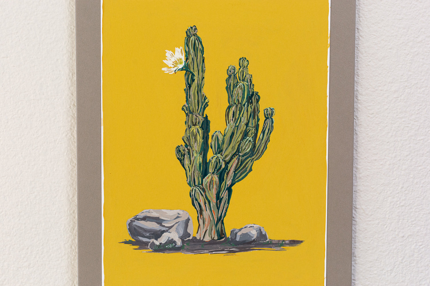 "PERUVIAN APPLE CACTUS"