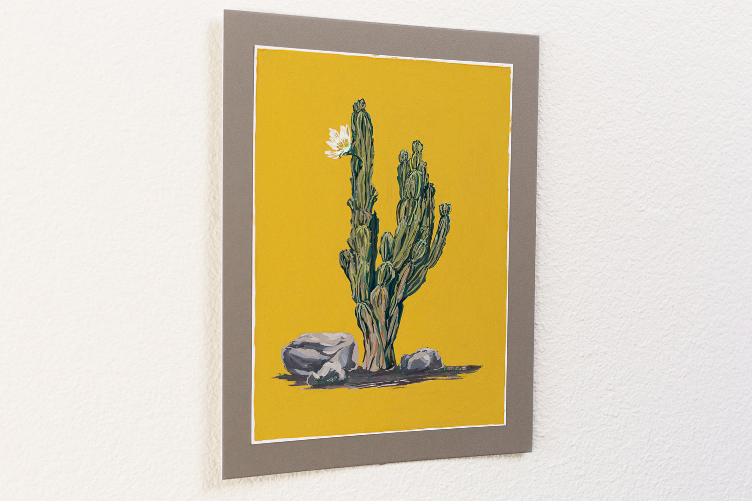 "PERUVIAN APPLE CACTUS"