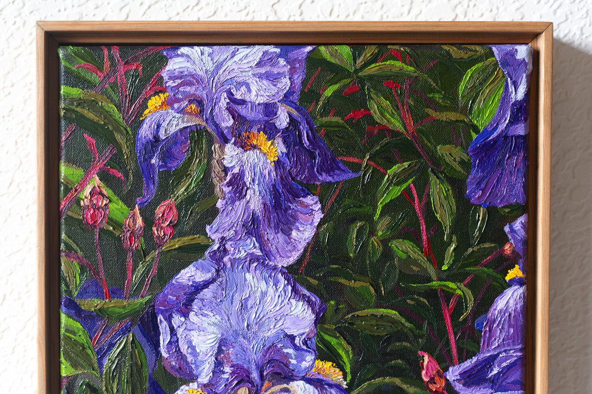 "Purple Bearded Iris"