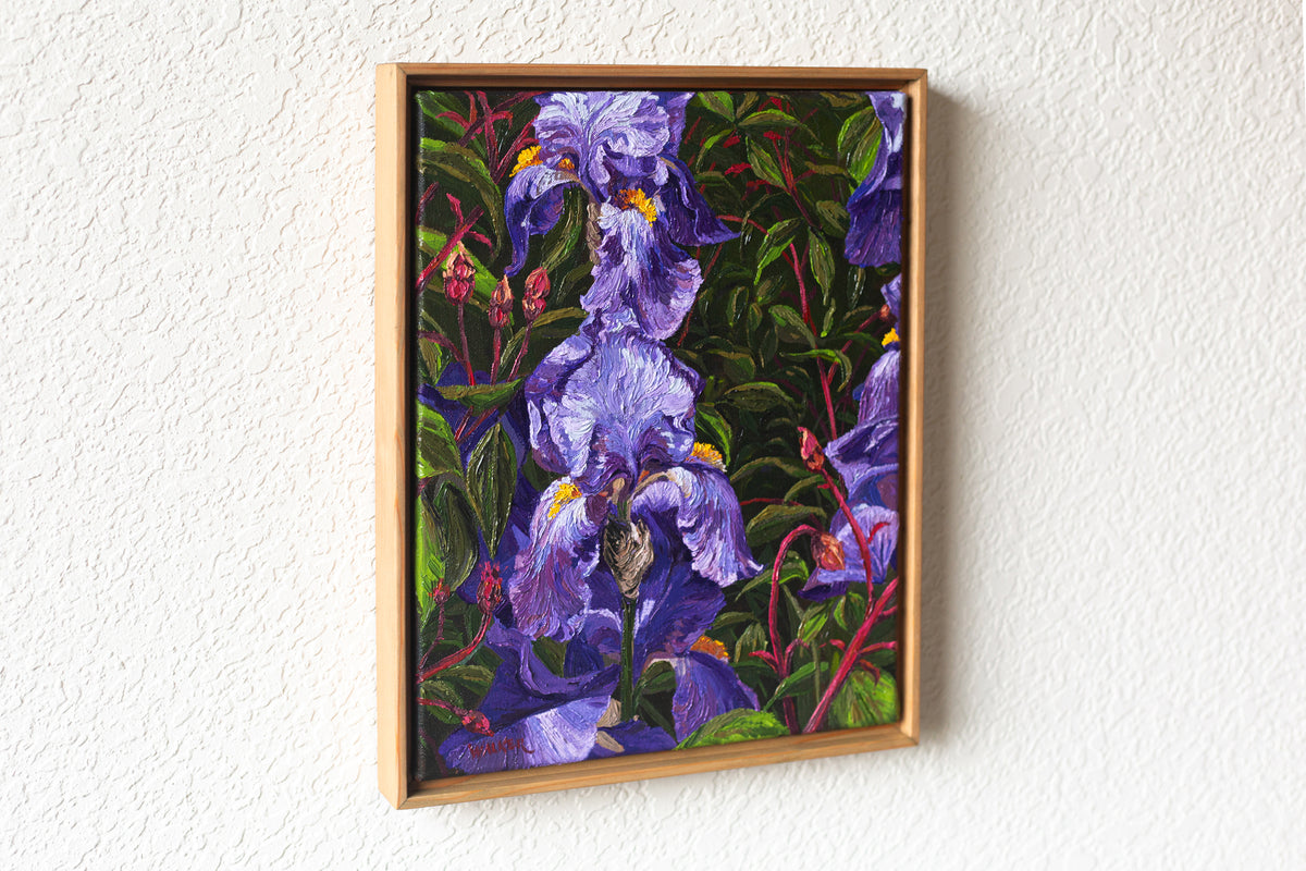 "Purple Bearded Iris"