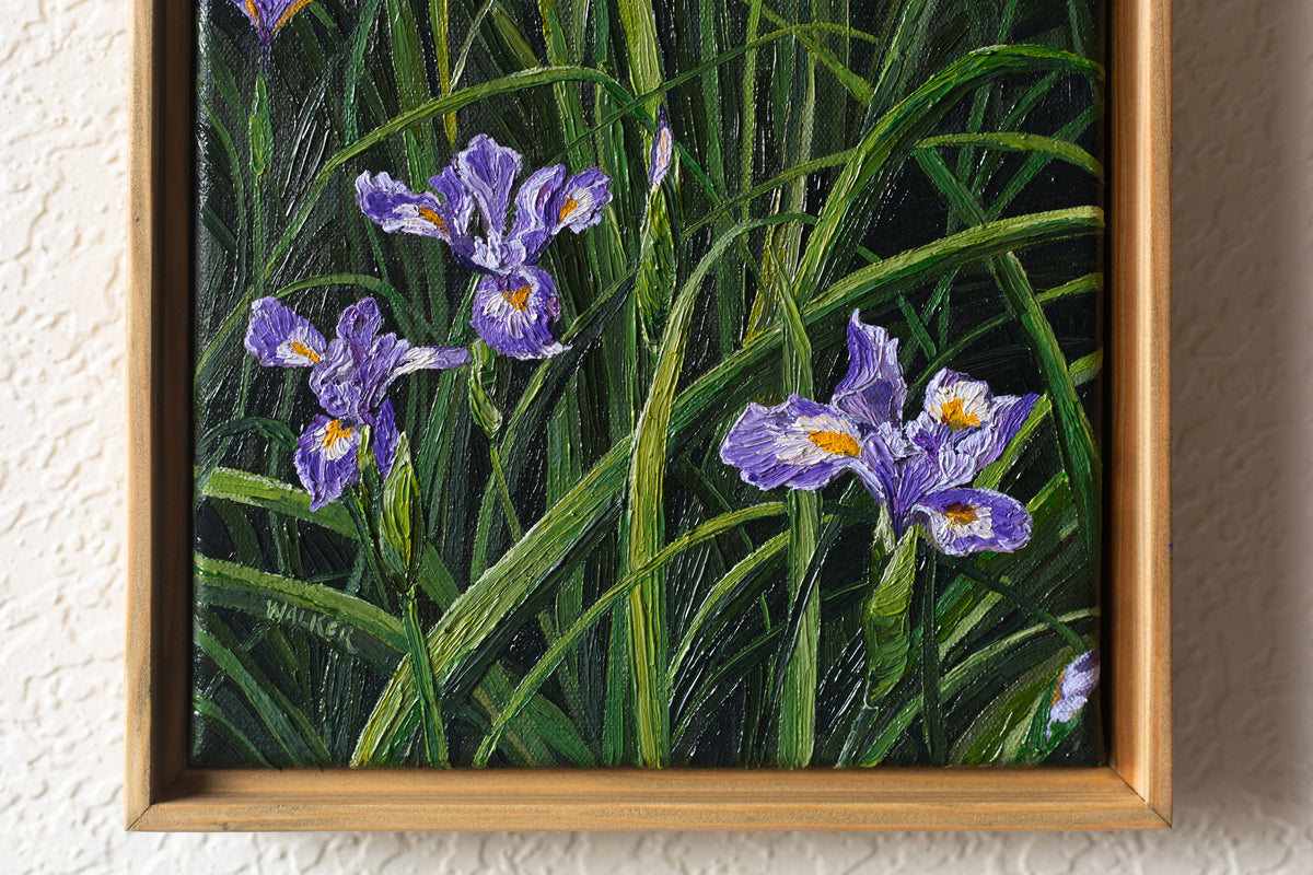 "Purple Douglas in Spring"