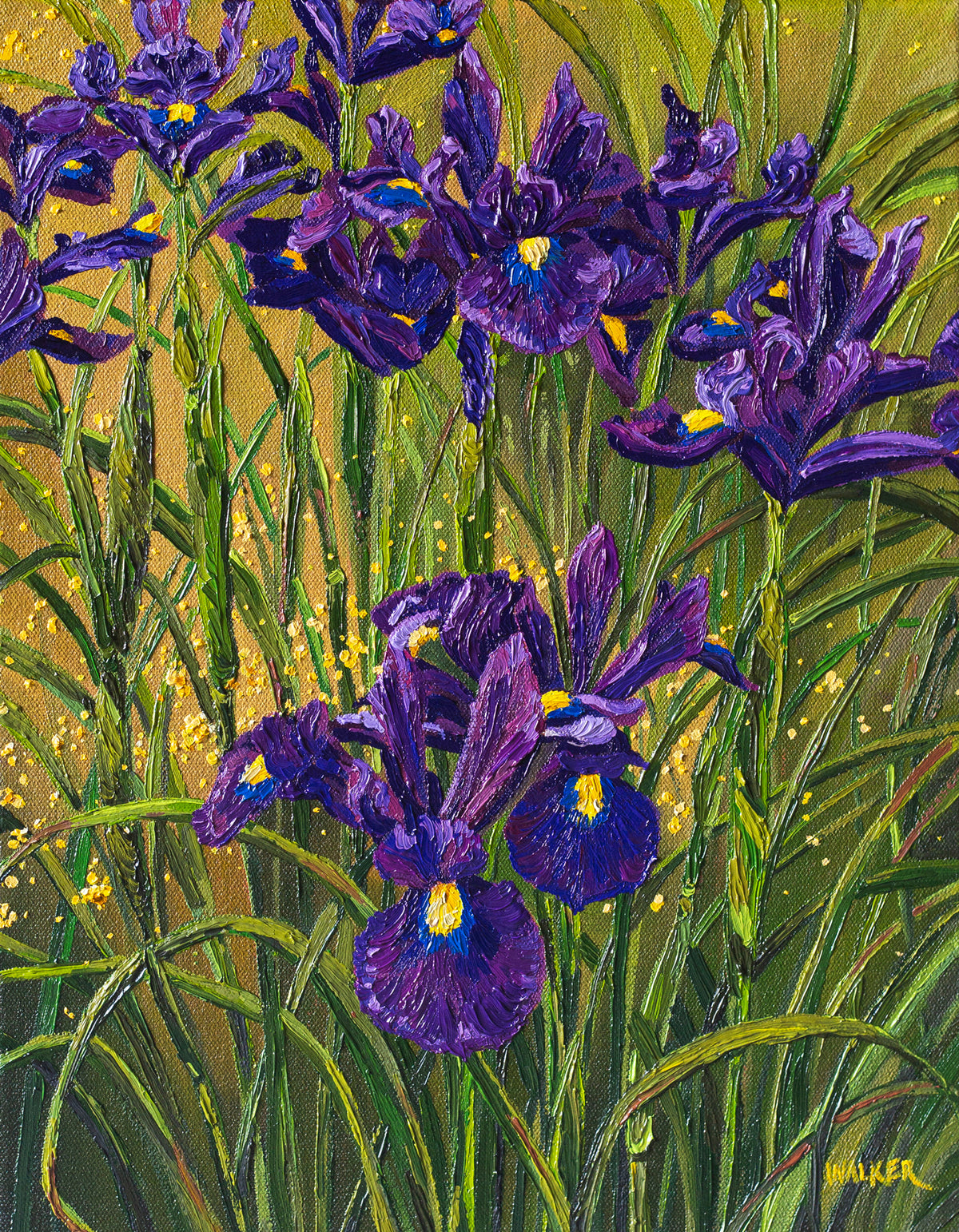 "Purple Dutch"