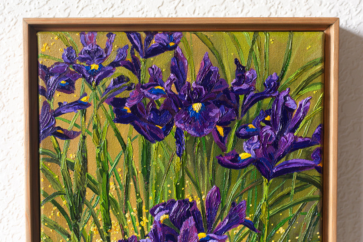"Purple Dutch"