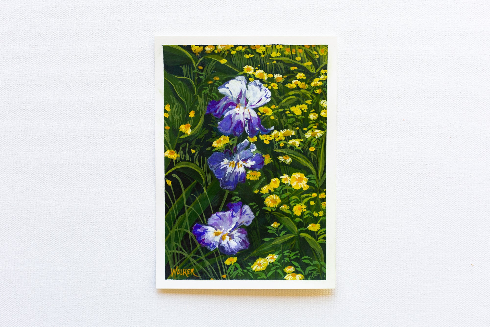 "PURPLE IRIS, YELLOW DAISY"