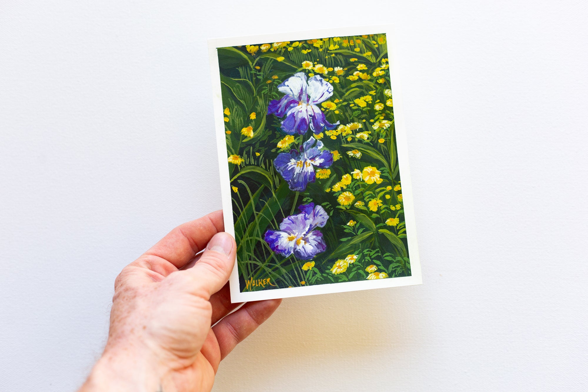 "PURPLE IRIS, YELLOW DAISY"
