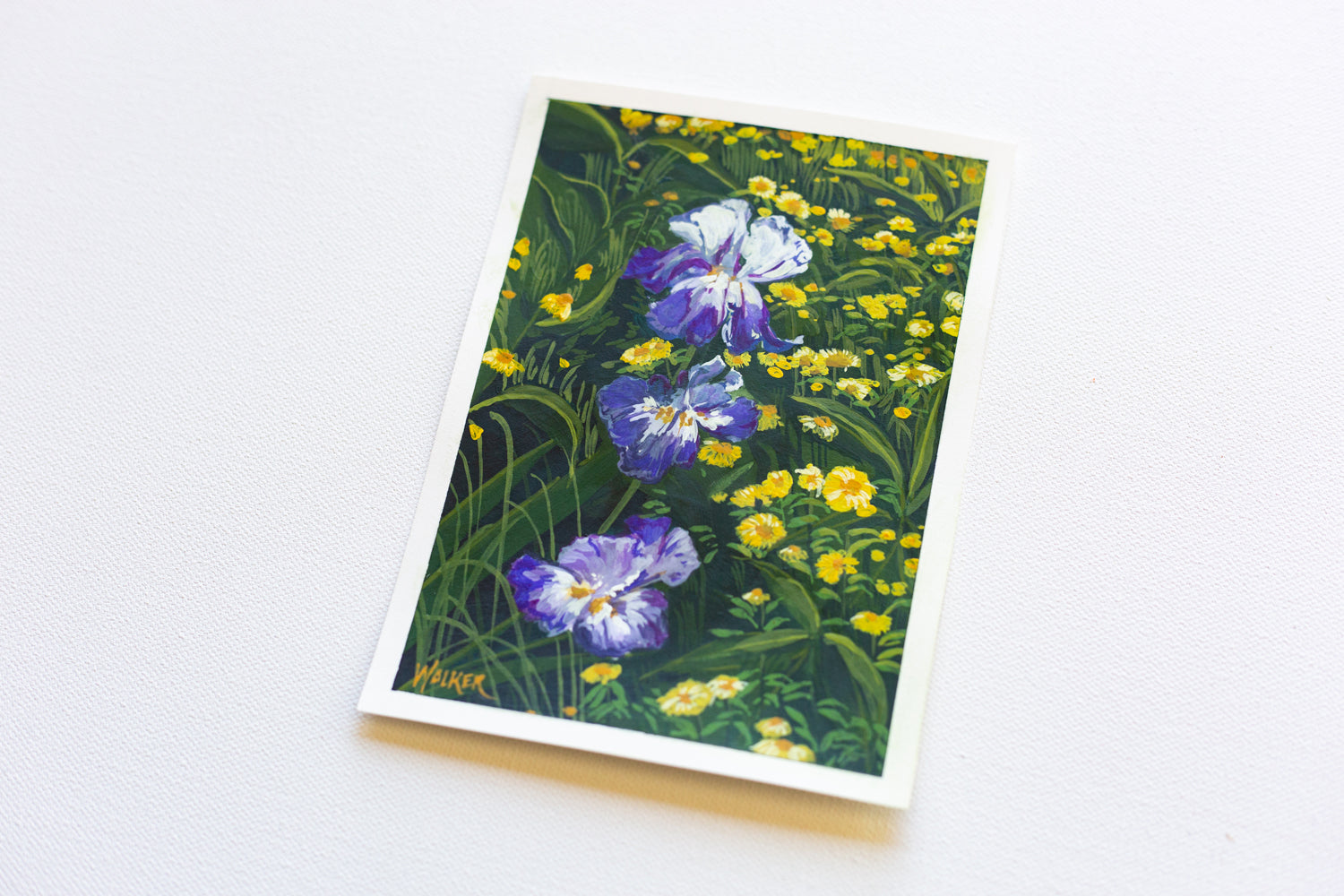 "PURPLE IRIS, YELLOW DAISY"