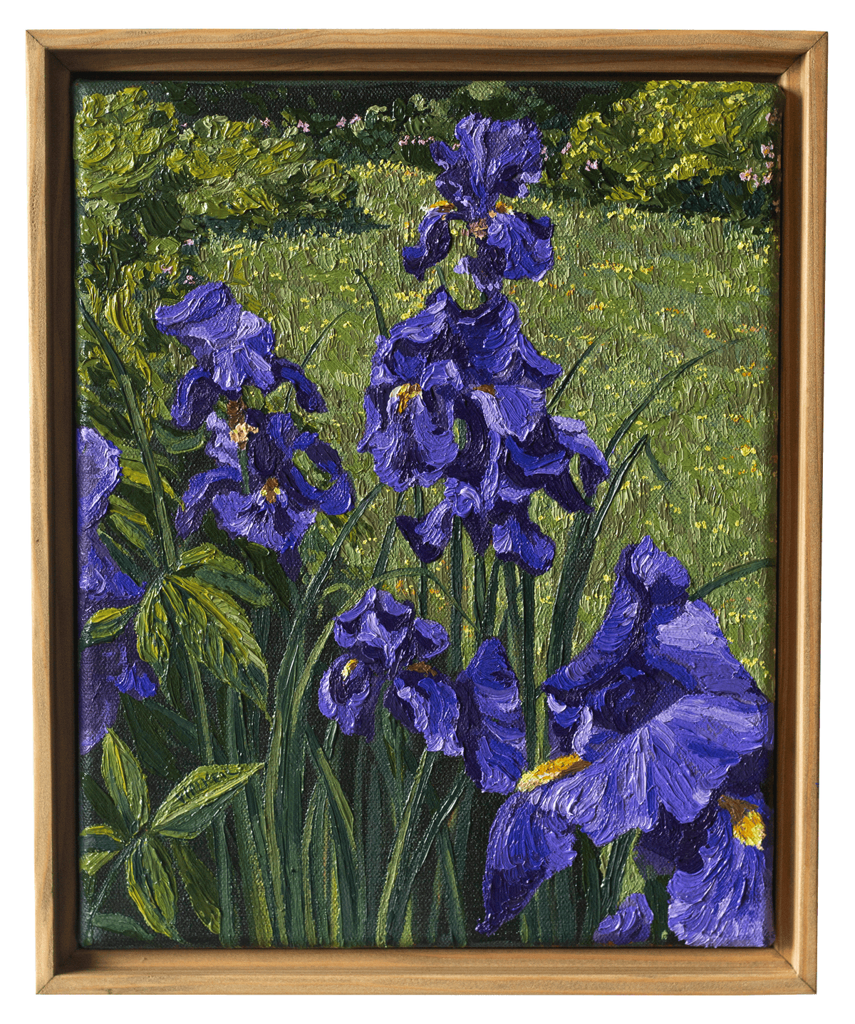 "Purple in the Garden"