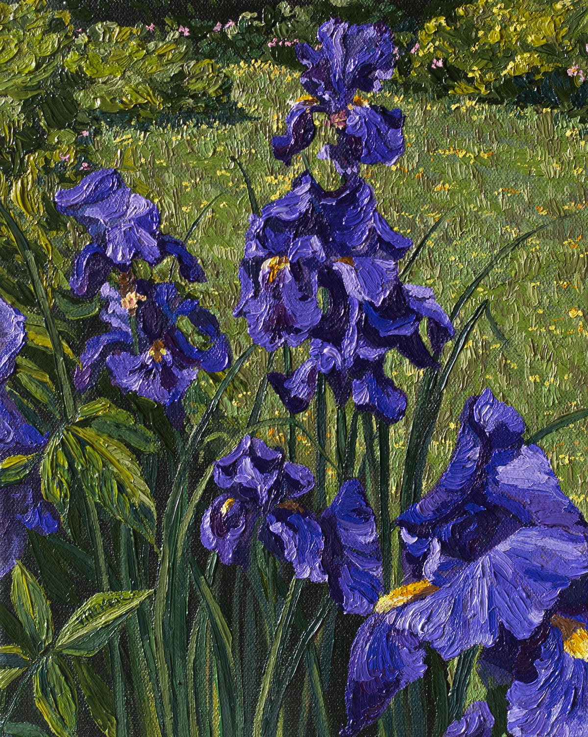 "Purple in the Garden"