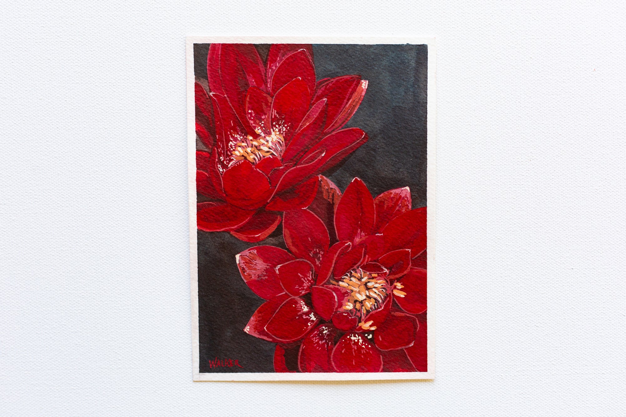 "RARE RED"