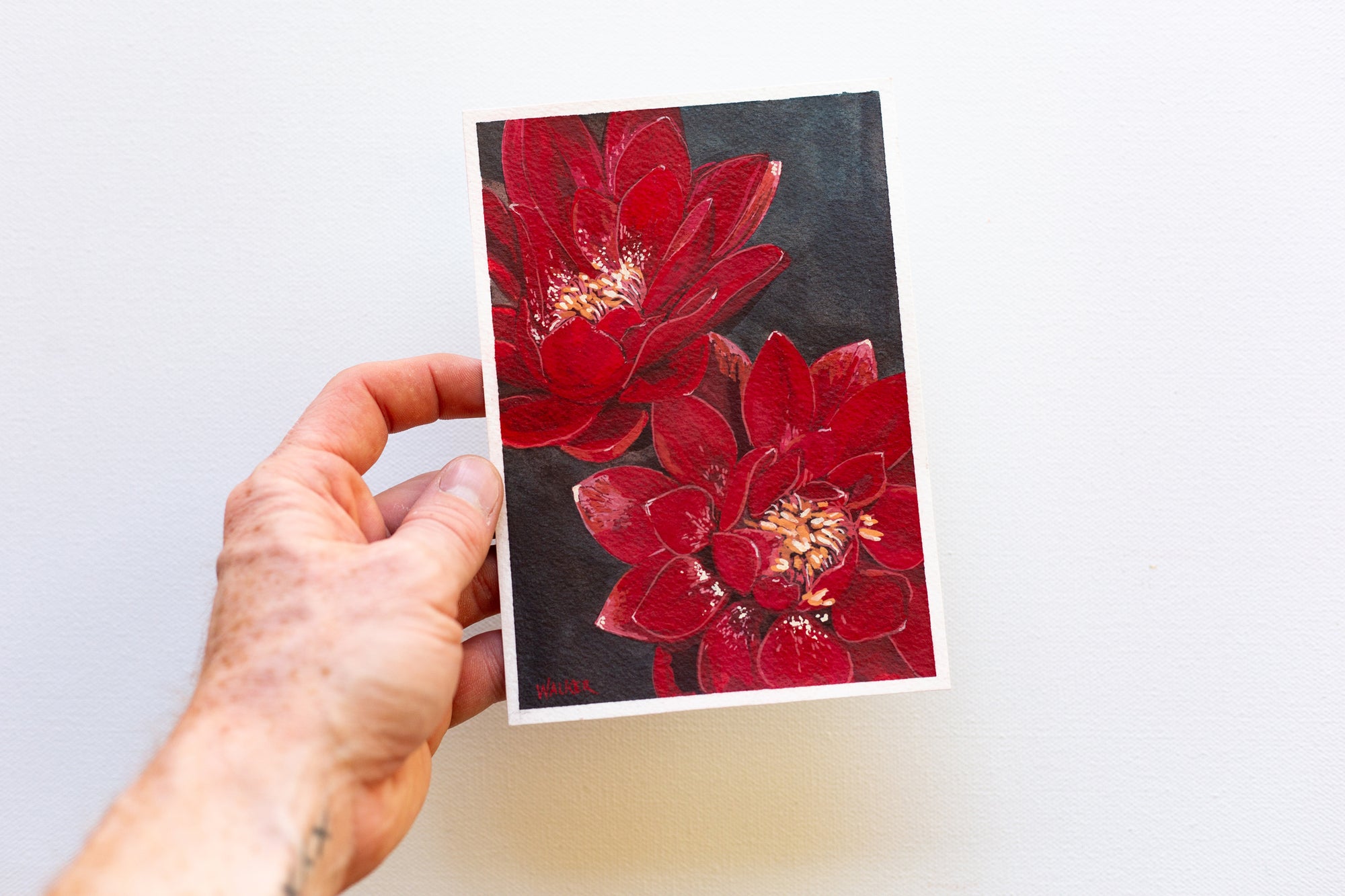 "RARE RED"