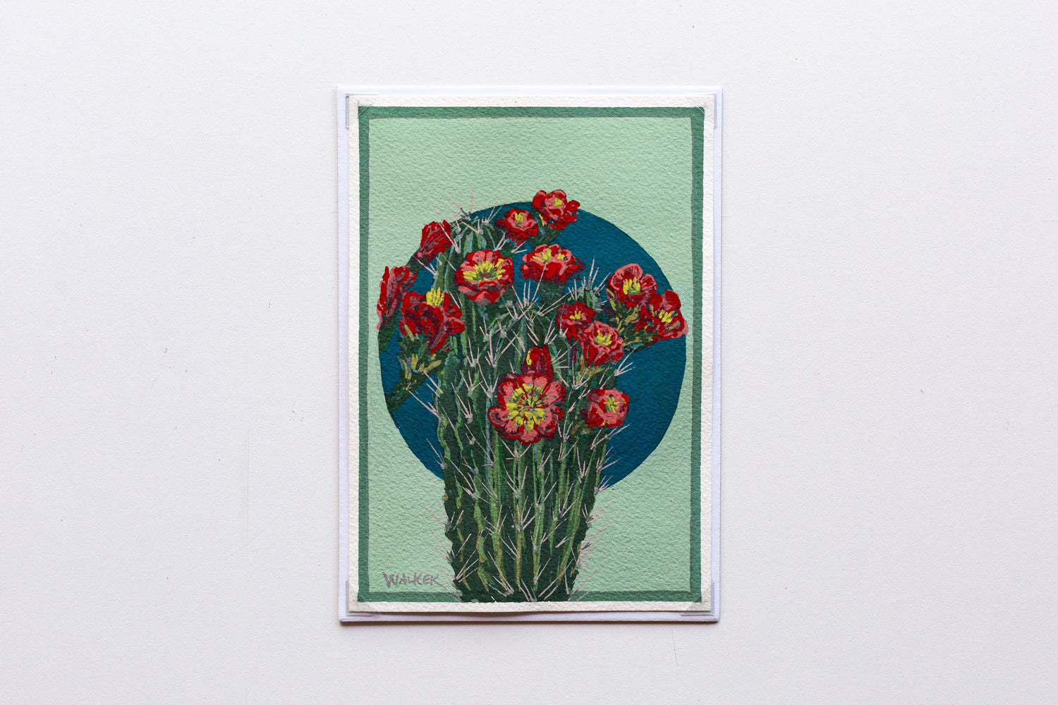 "RED HEDGEHOG BLOOMS" STUDY