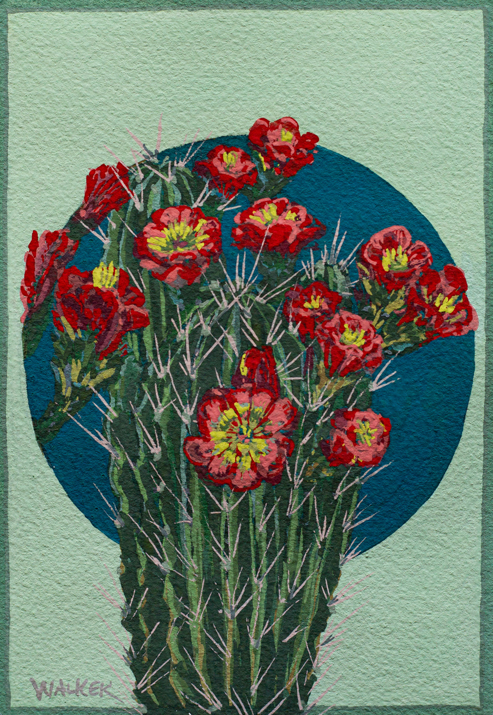 "RED HEDGEHOG BLOOMS" STUDY