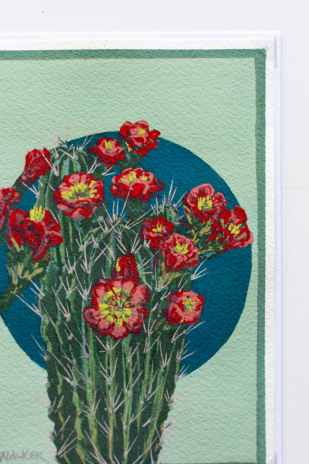 "RED HEDGEHOG BLOOMS" STUDY