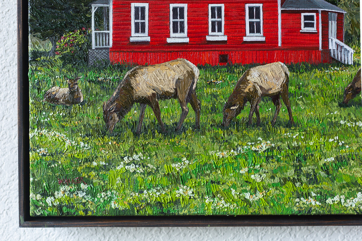 "Red Schoolhouse with Elk"