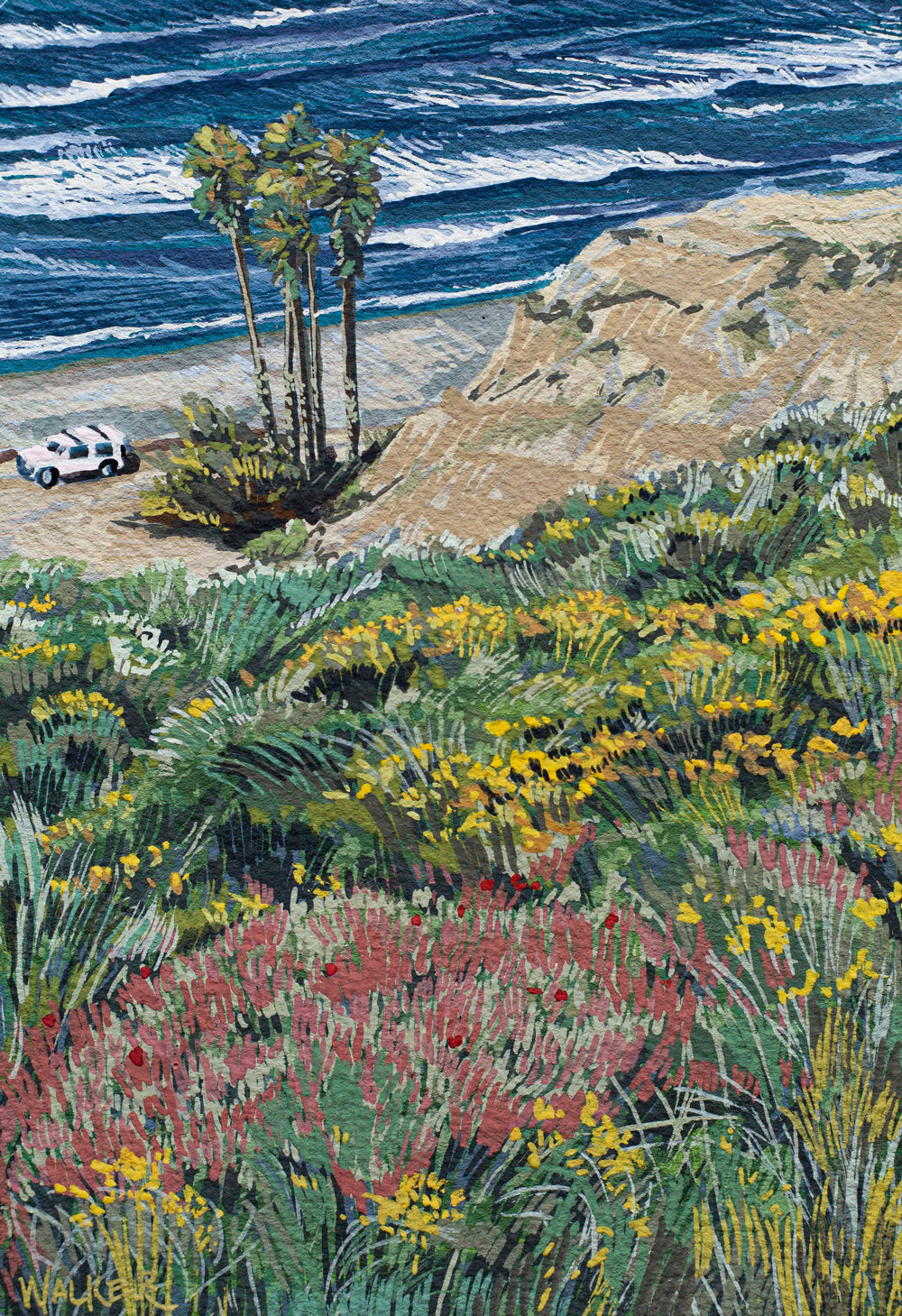 "SAN O WILDFLOWERS" STUDY
