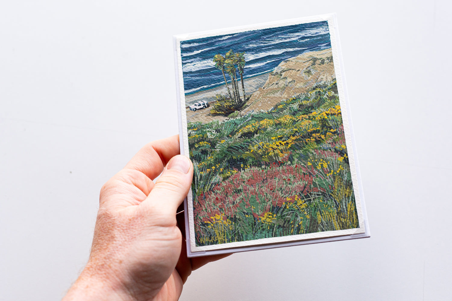 "SAN O WILDFLOWERS" STUDY