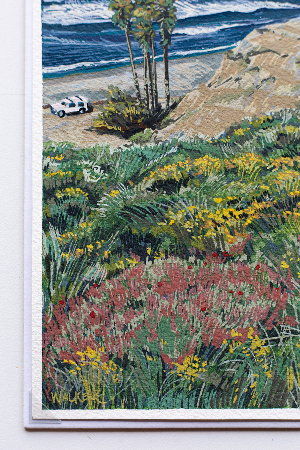 "SAN O WILDFLOWERS" STUDY