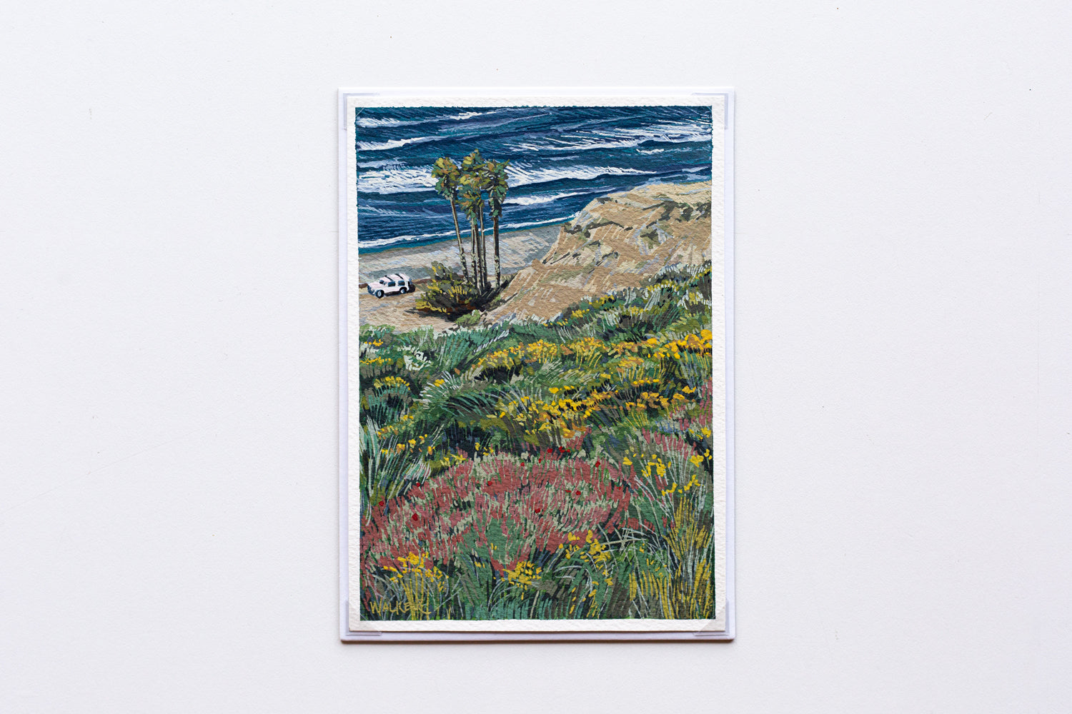 "SAN O WILDFLOWERS" STUDY