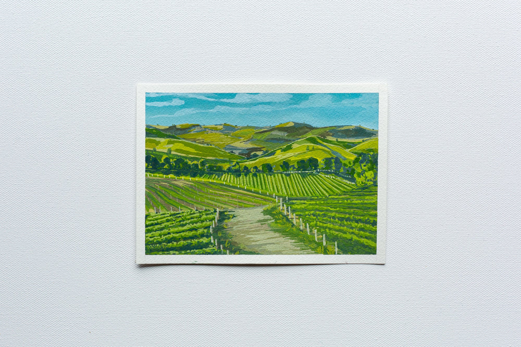 "SONOMA VALLEY" STUDY