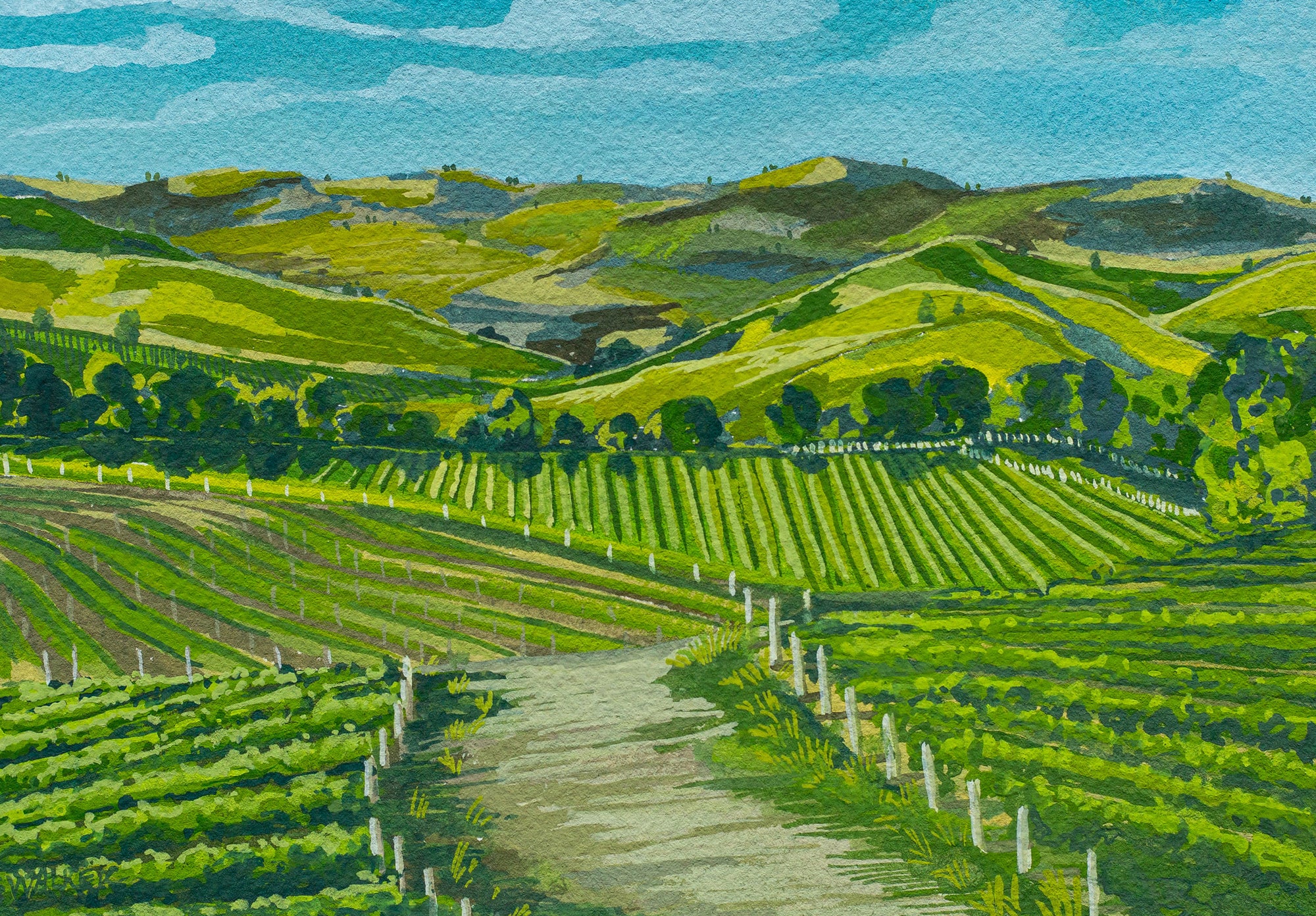 "SONOMA VALLEY" STUDY